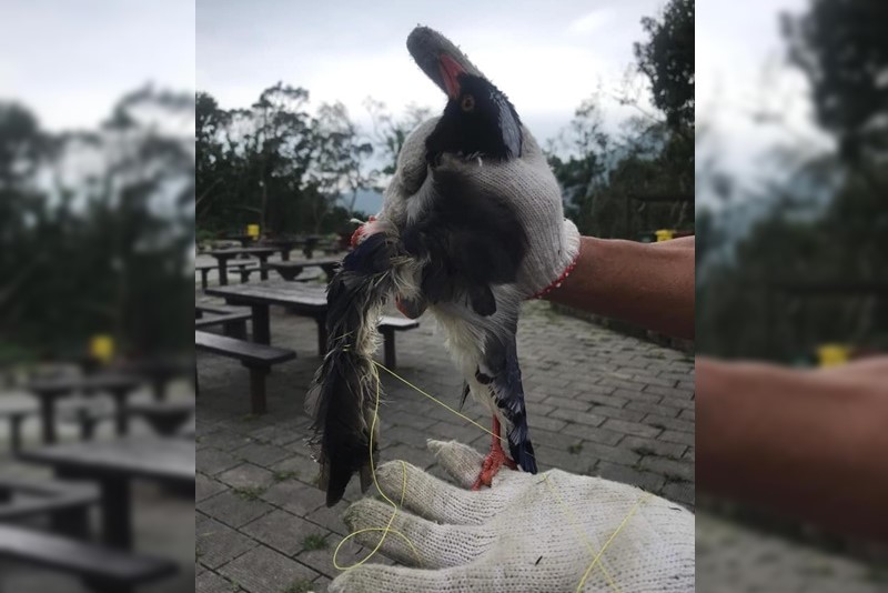 $!title_without_url!$