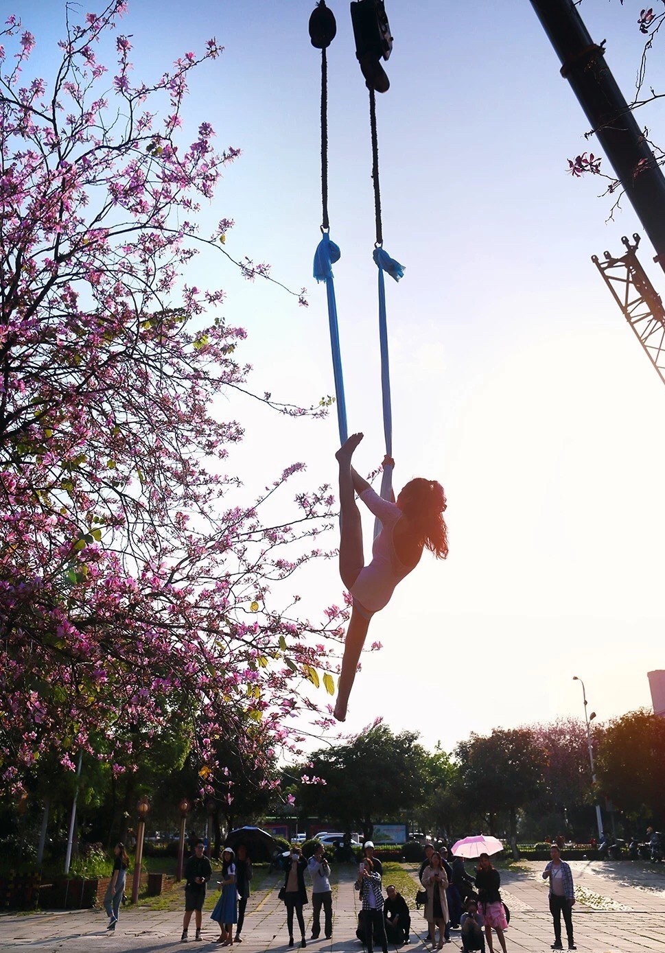 $!title_without_url!$