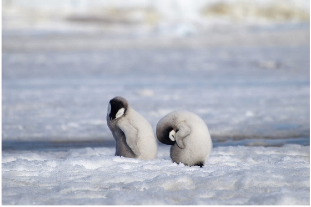 $!title_without_url!$