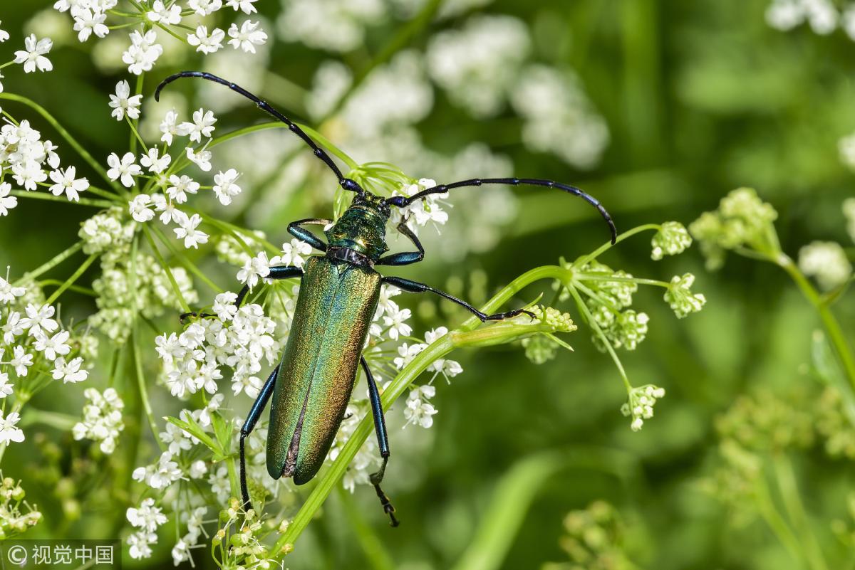 $!title_without_url!$