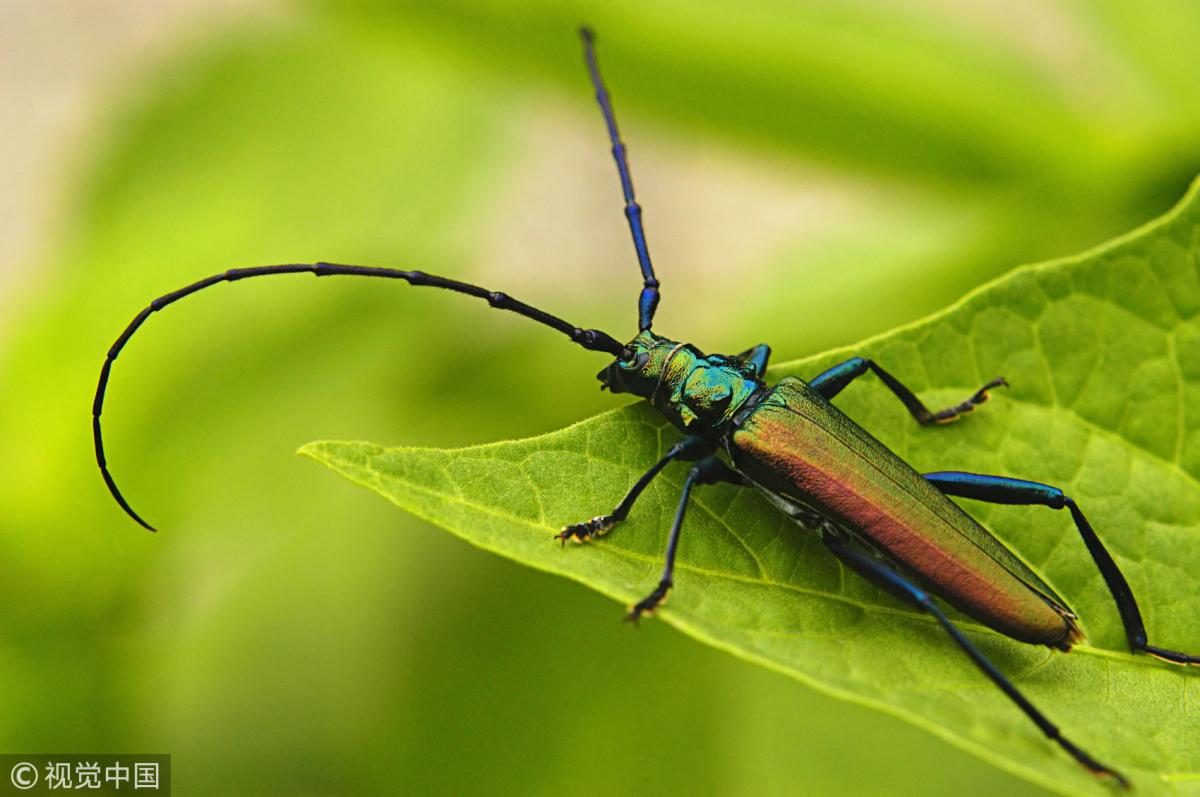 $!title_without_url!$