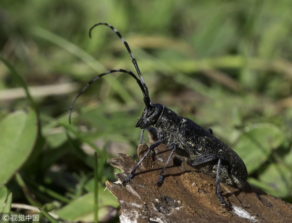 $!title_without_url!$