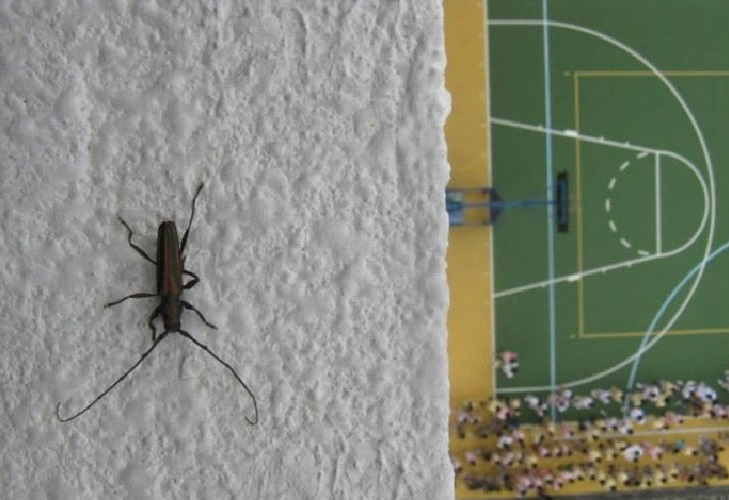 $!title_without_url!$