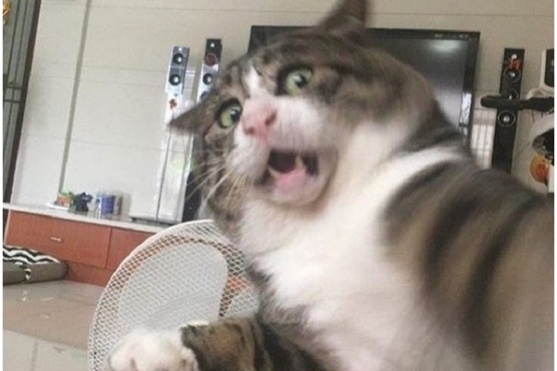 $!title_without_url!$