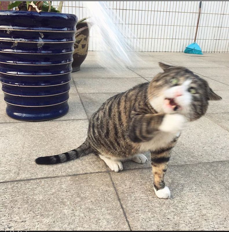 $!title_without_url!$