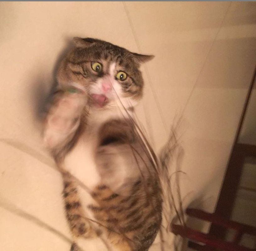 $!title_without_url!$