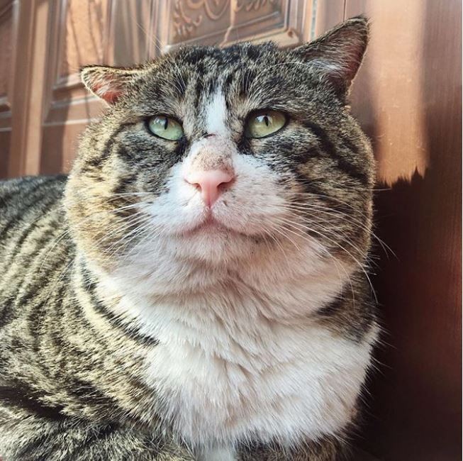 $!title_without_url!$