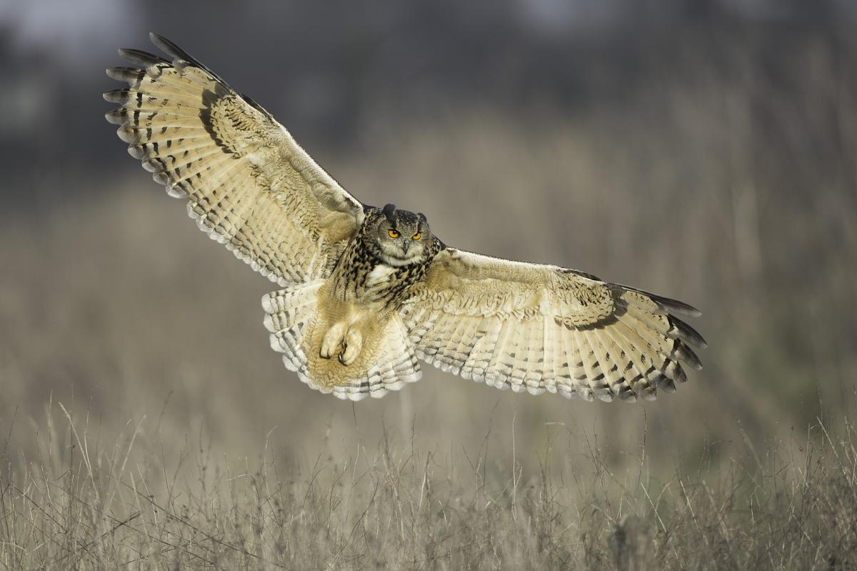 $!title_without_url!$