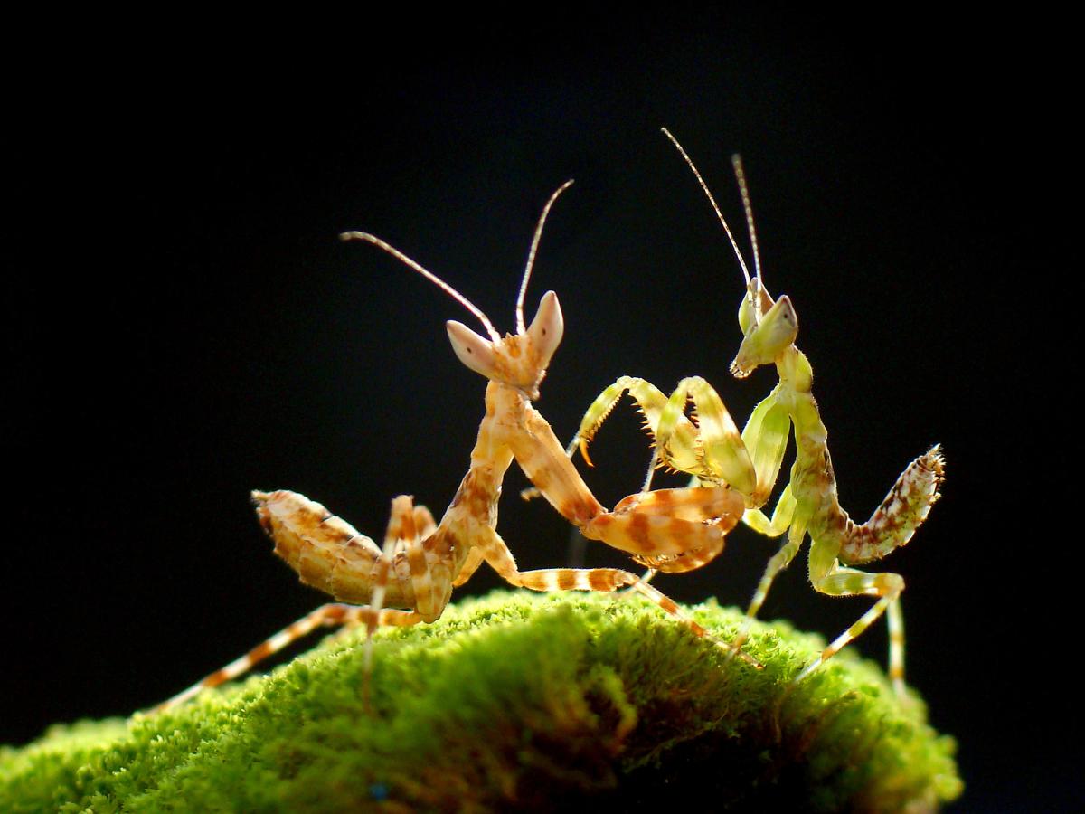 $!title_without_url!$