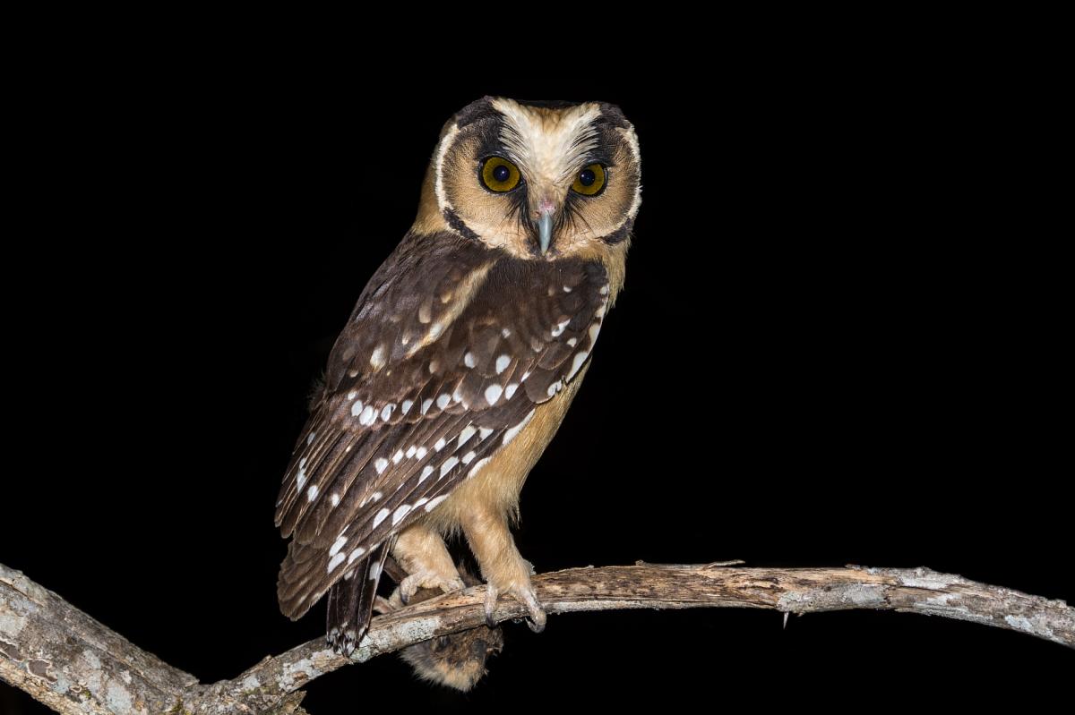 $!title_without_url!$