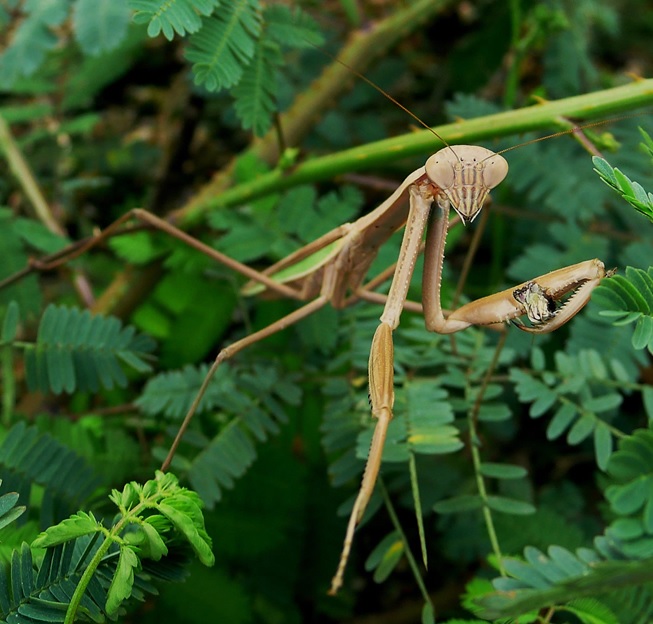 $!title_without_url!$