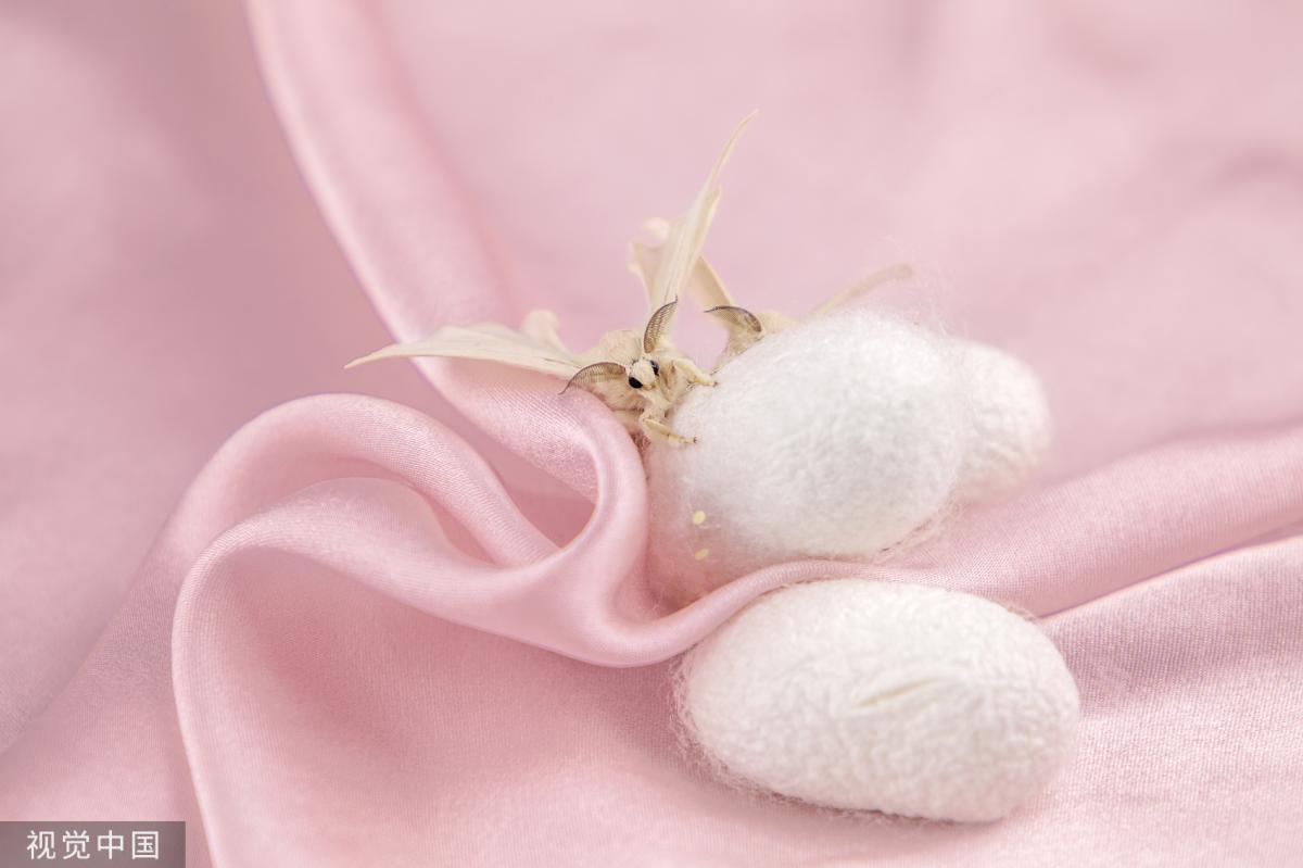 $!title_without_url!$