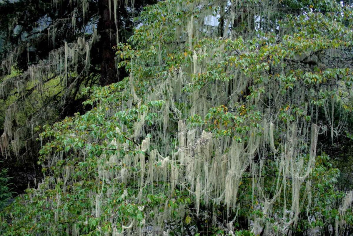 $!title_without_url!$