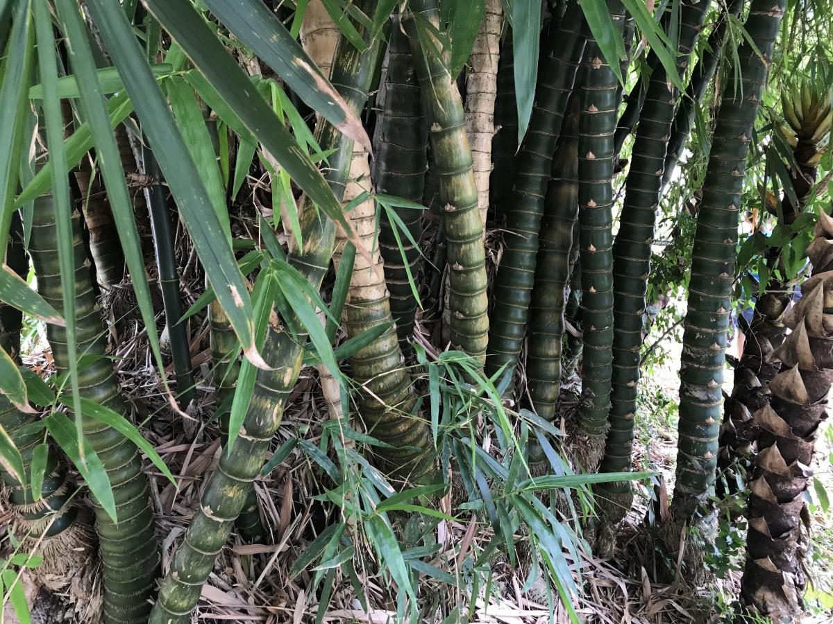 $!title_without_url!$