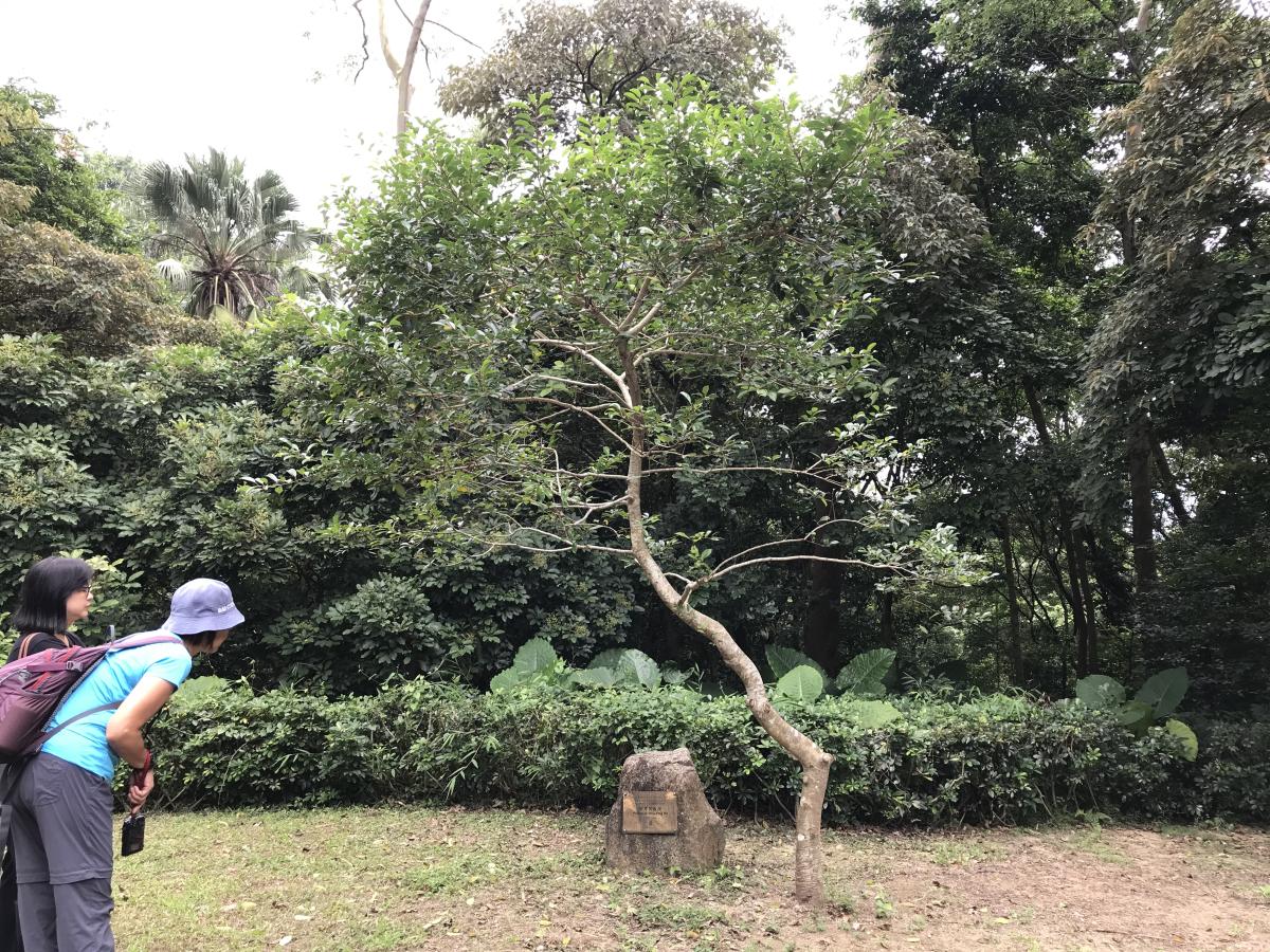 $!title_without_url!$