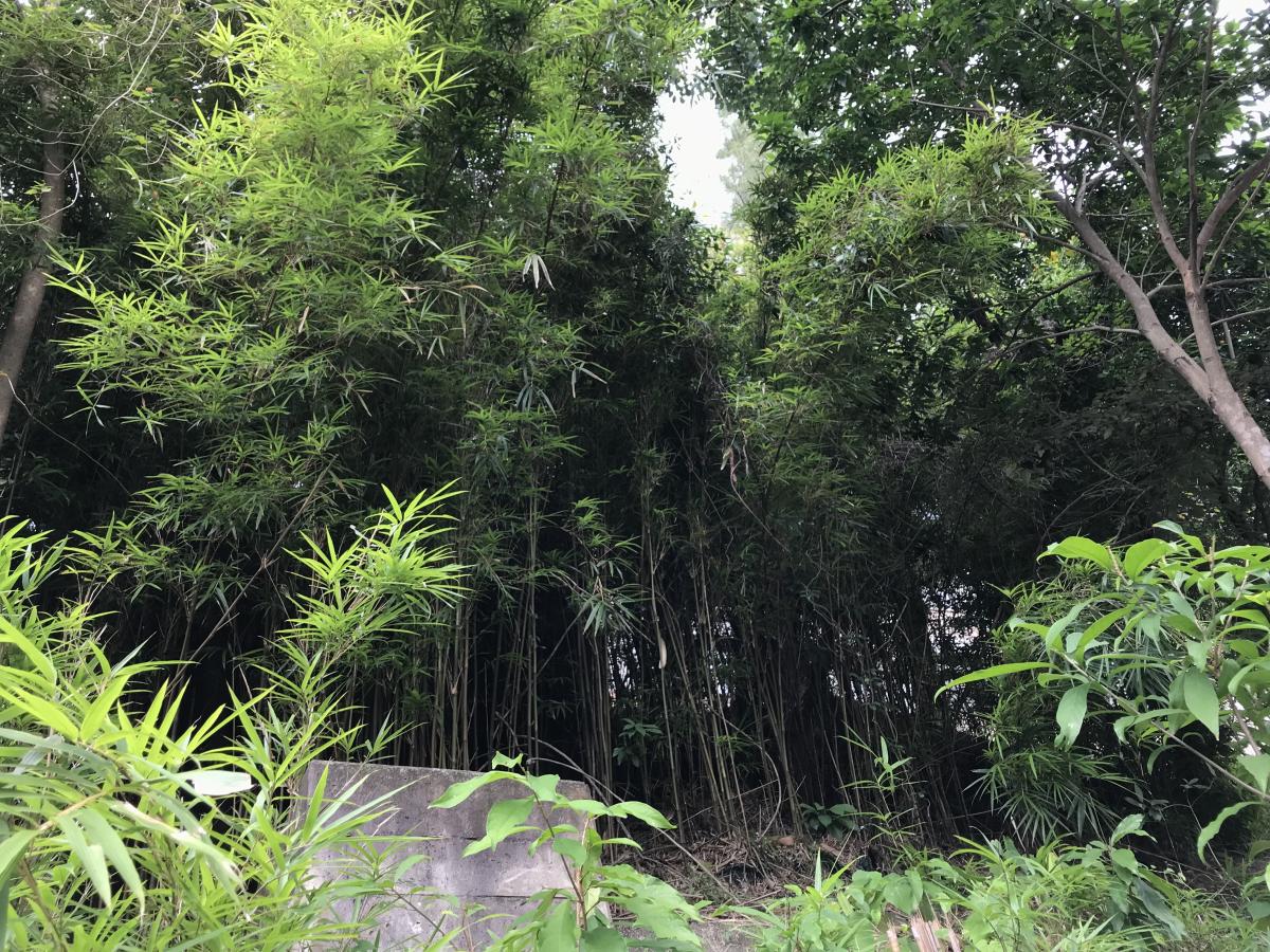 $!title_without_url!$