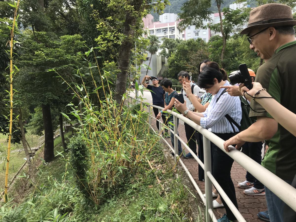 $!title_without_url!$