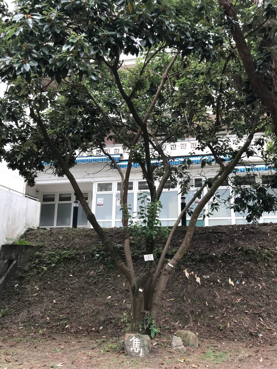 $!title_without_url!$