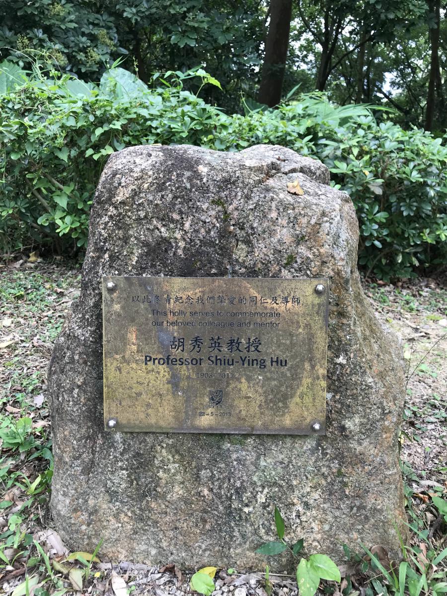 $!title_without_url!$