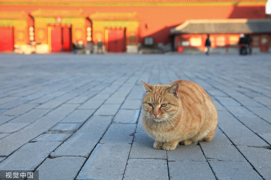 $!title_without_url!$