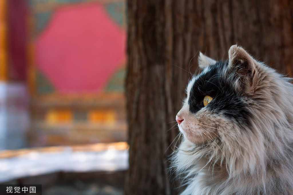 $!title_without_url!$