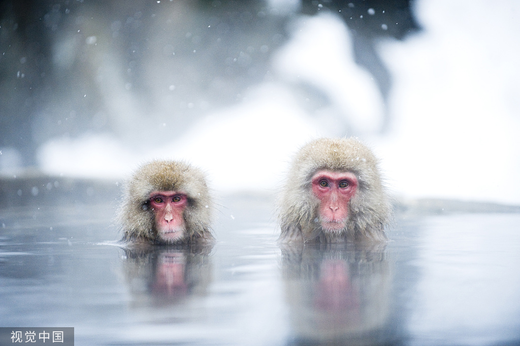 $!title_without_url!$