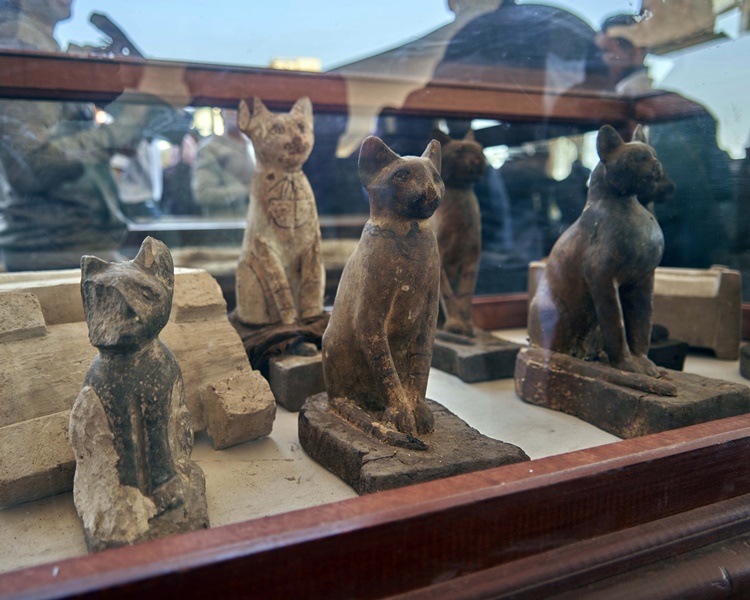 $!title_without_url!$