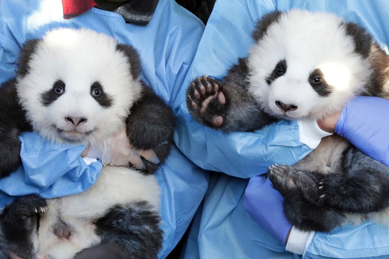 $!title_without_url!$