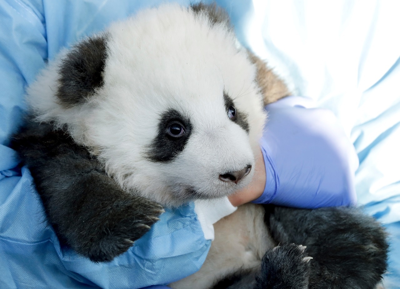 $!title_without_url!$