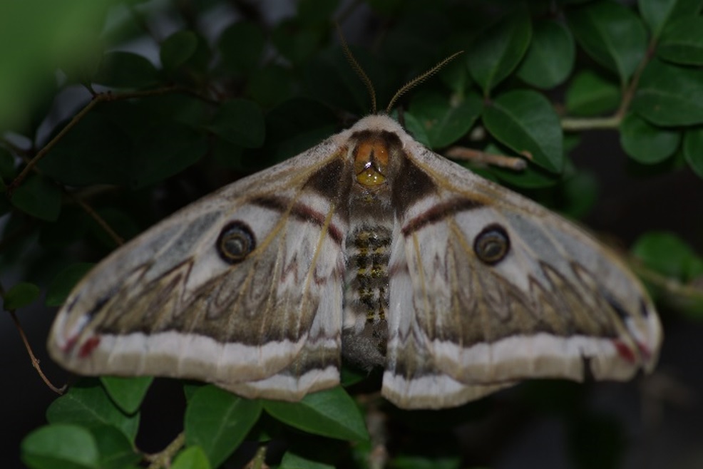 $!title_without_url!$