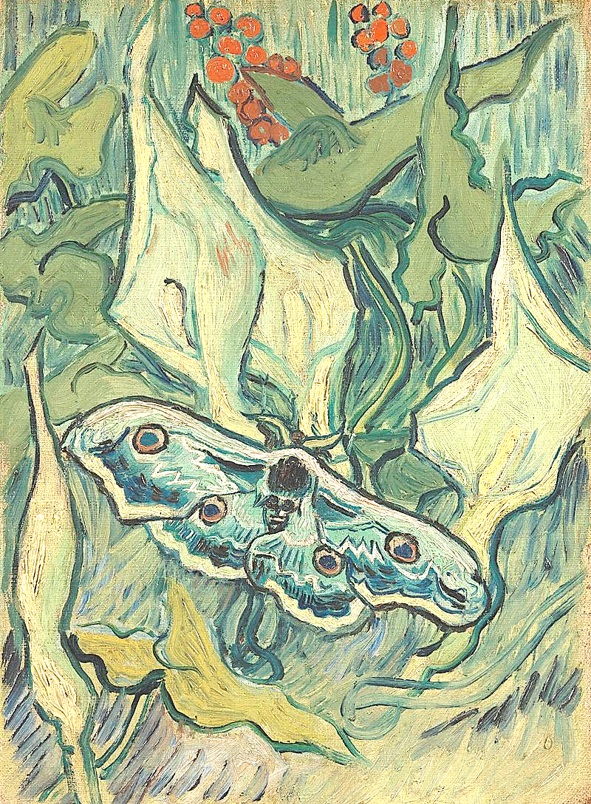 $!title_without_url!$