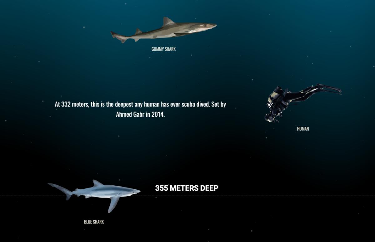 $!title_without_url!$