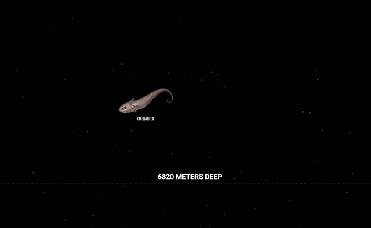 $!title_without_url!$