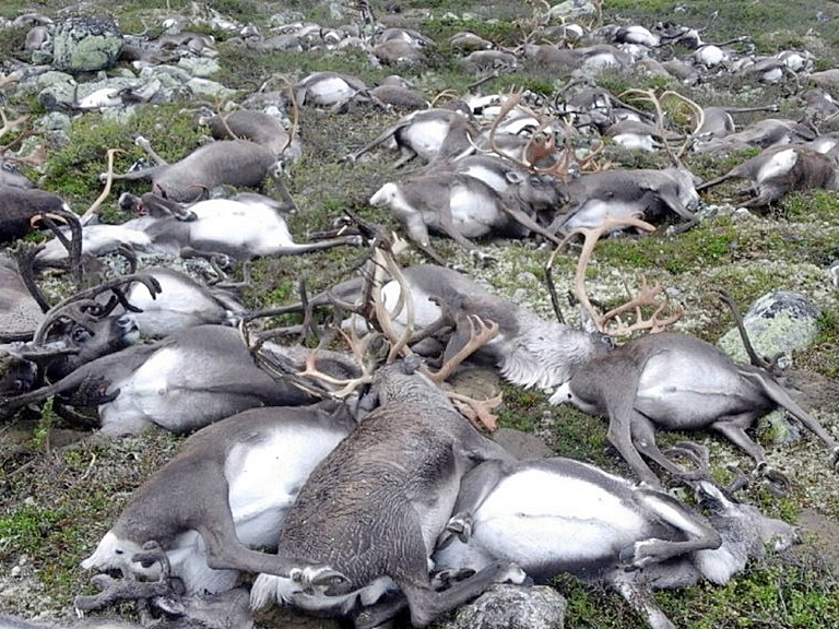 $!title_without_url!$