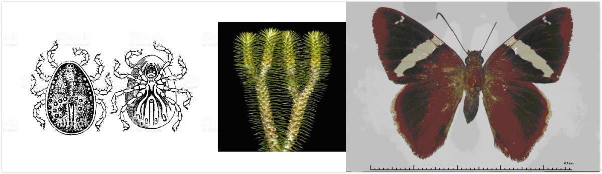 $!title_without_url!$