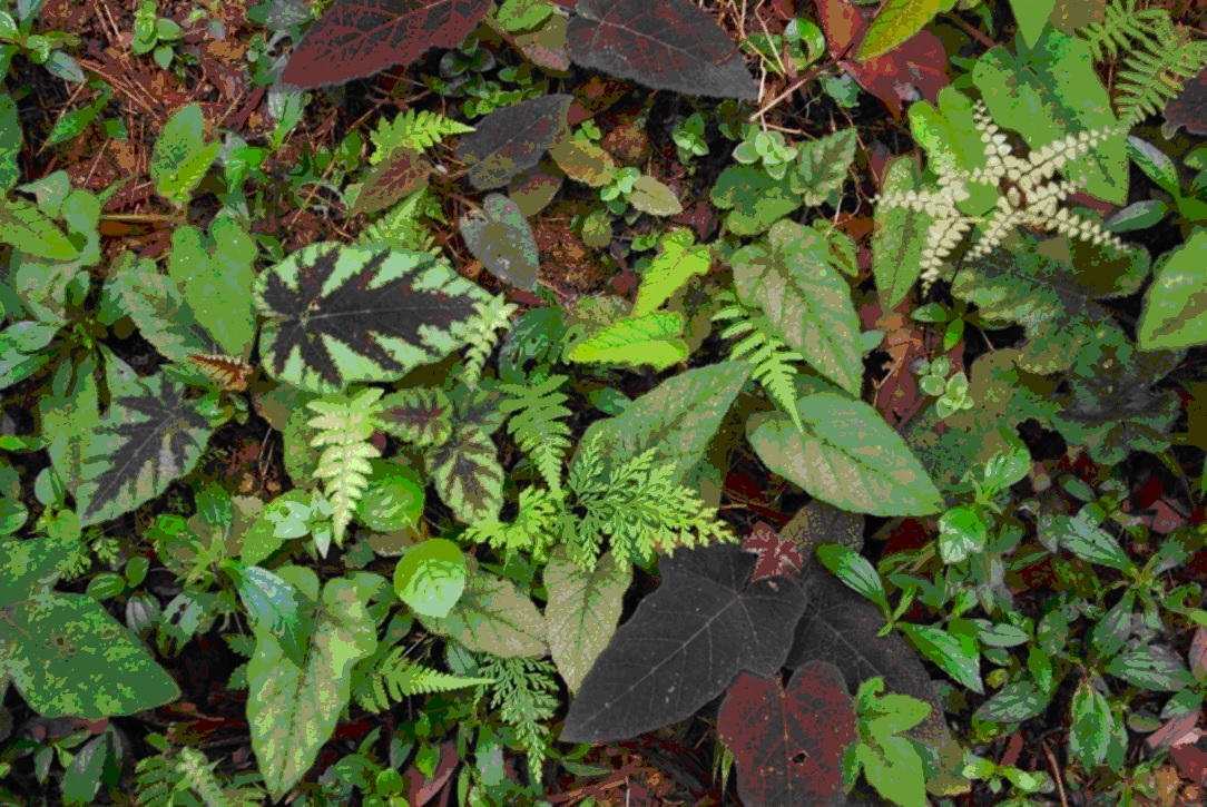 $!title_without_url!$