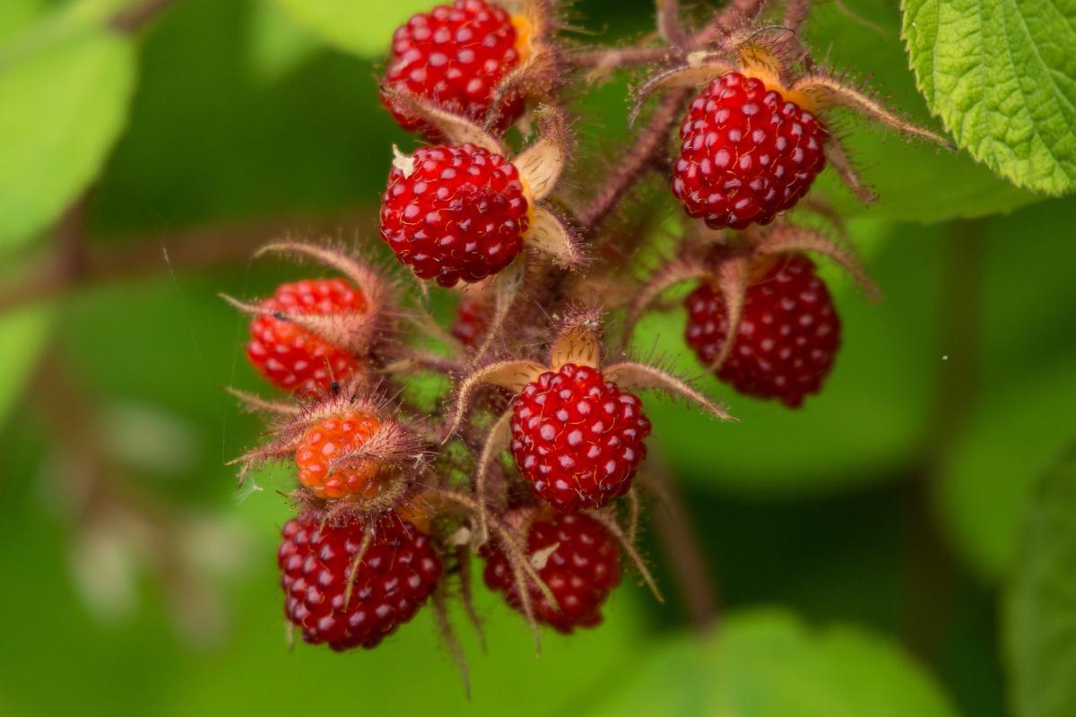 $!title_without_url!$