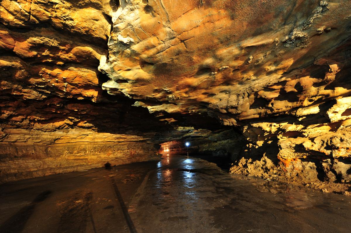 $!title_without_url!$