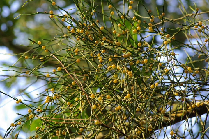 $!title_without_url!$