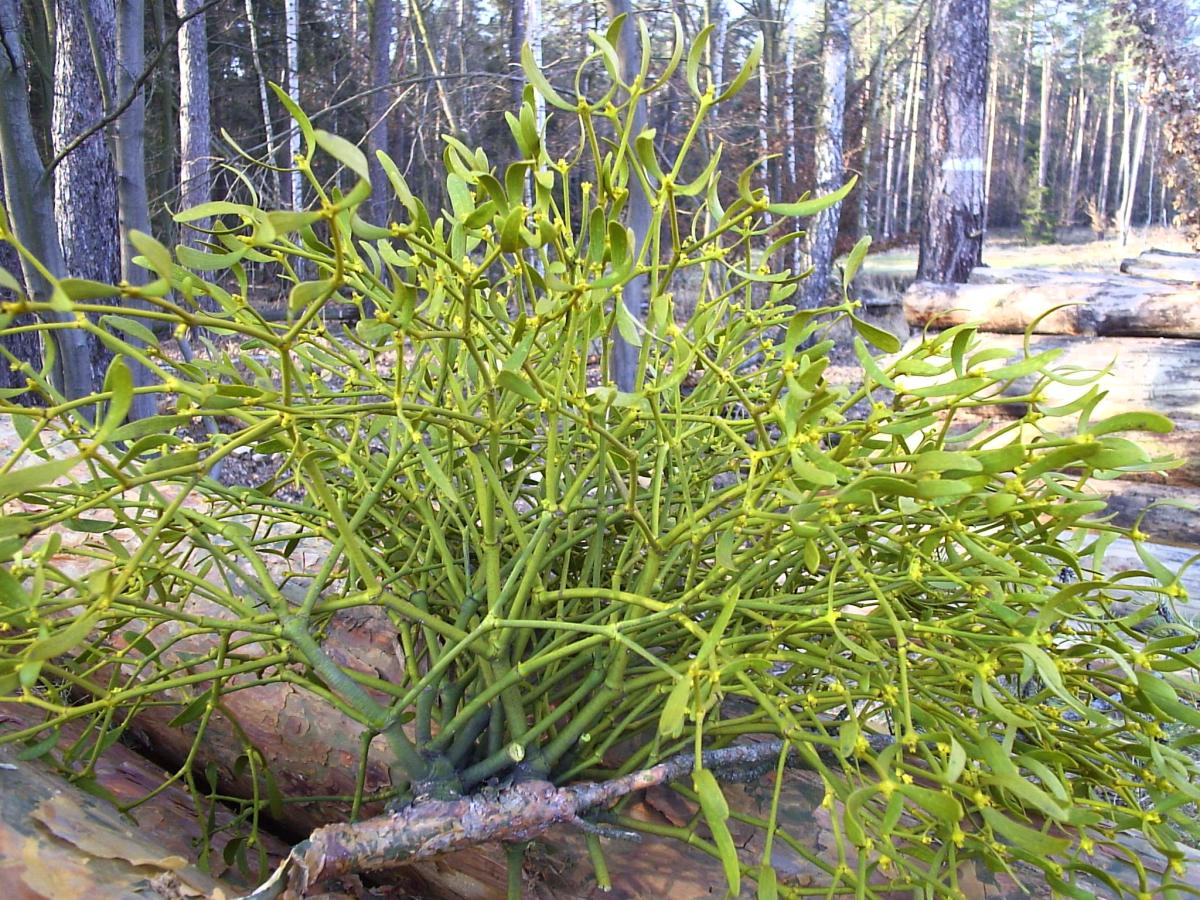 $!title_without_url!$