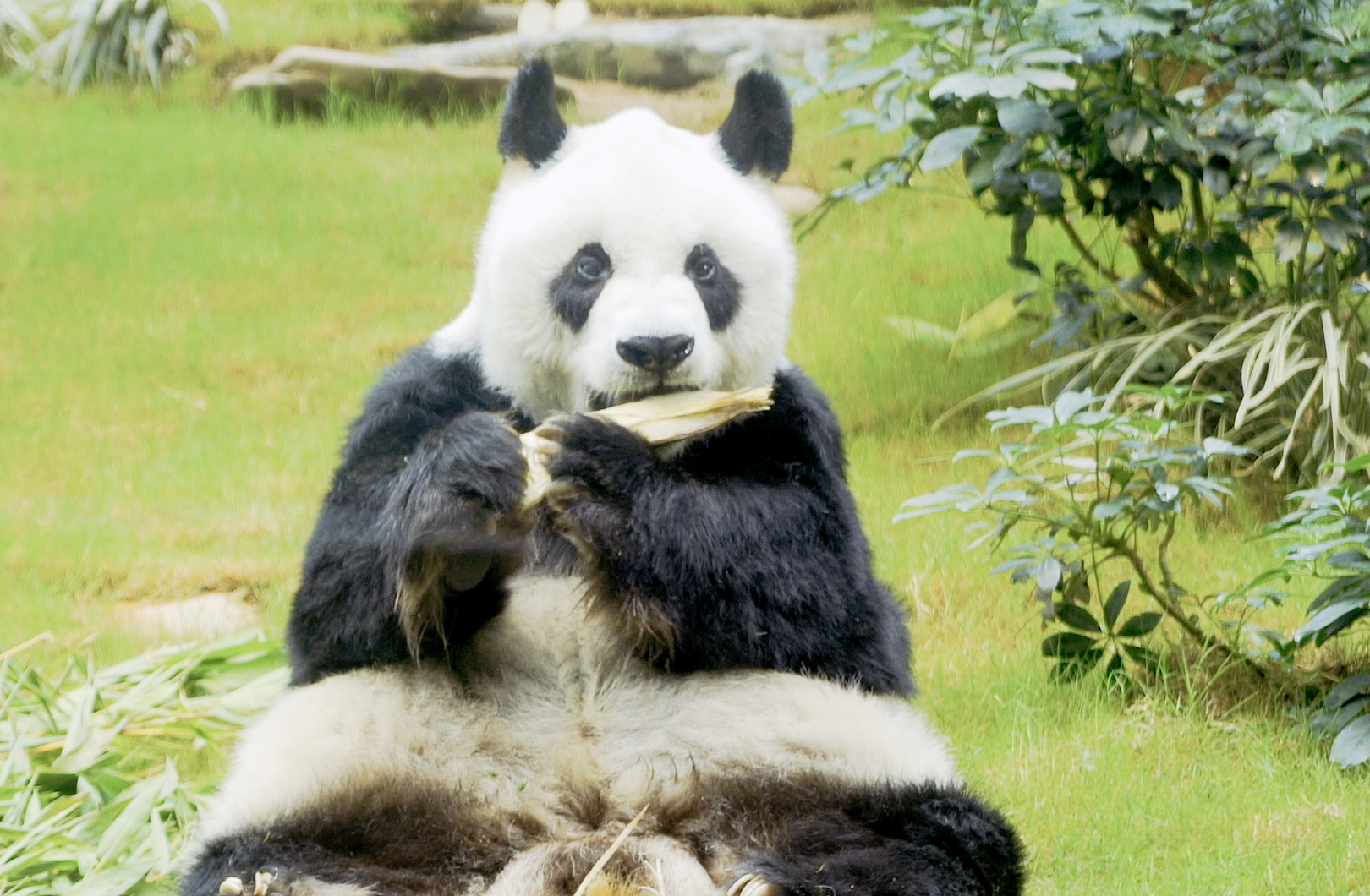 $!title_without_url!$