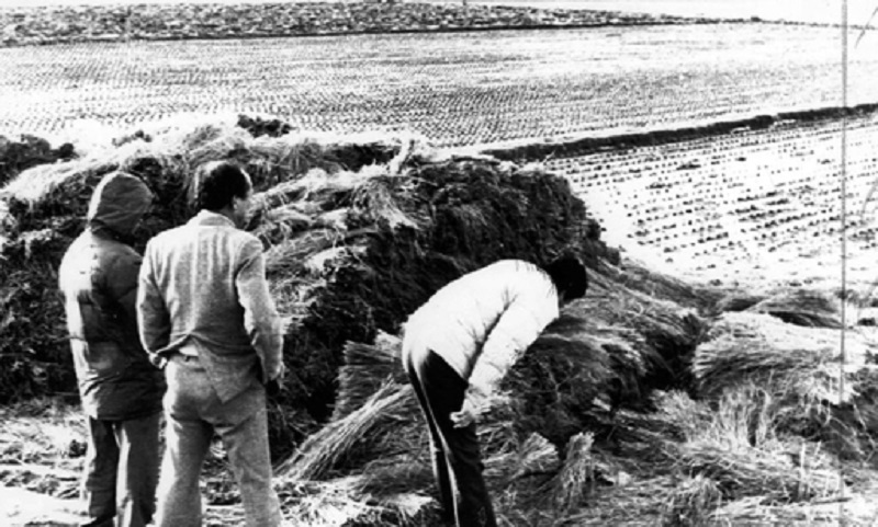 $!title_without_url!$