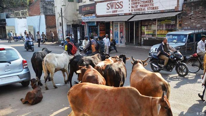 $!title_without_url!$