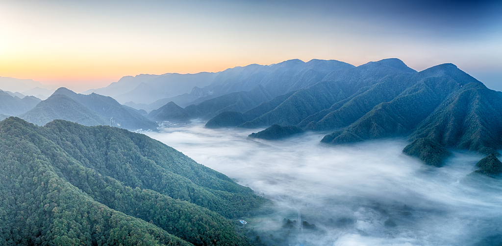 $!title_without_url!$