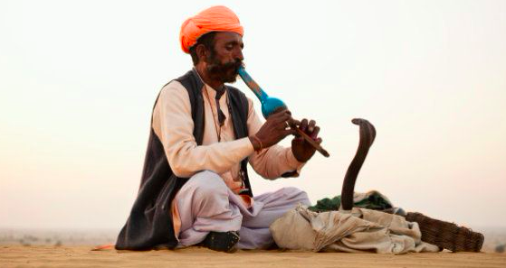 $!title_without_url!$