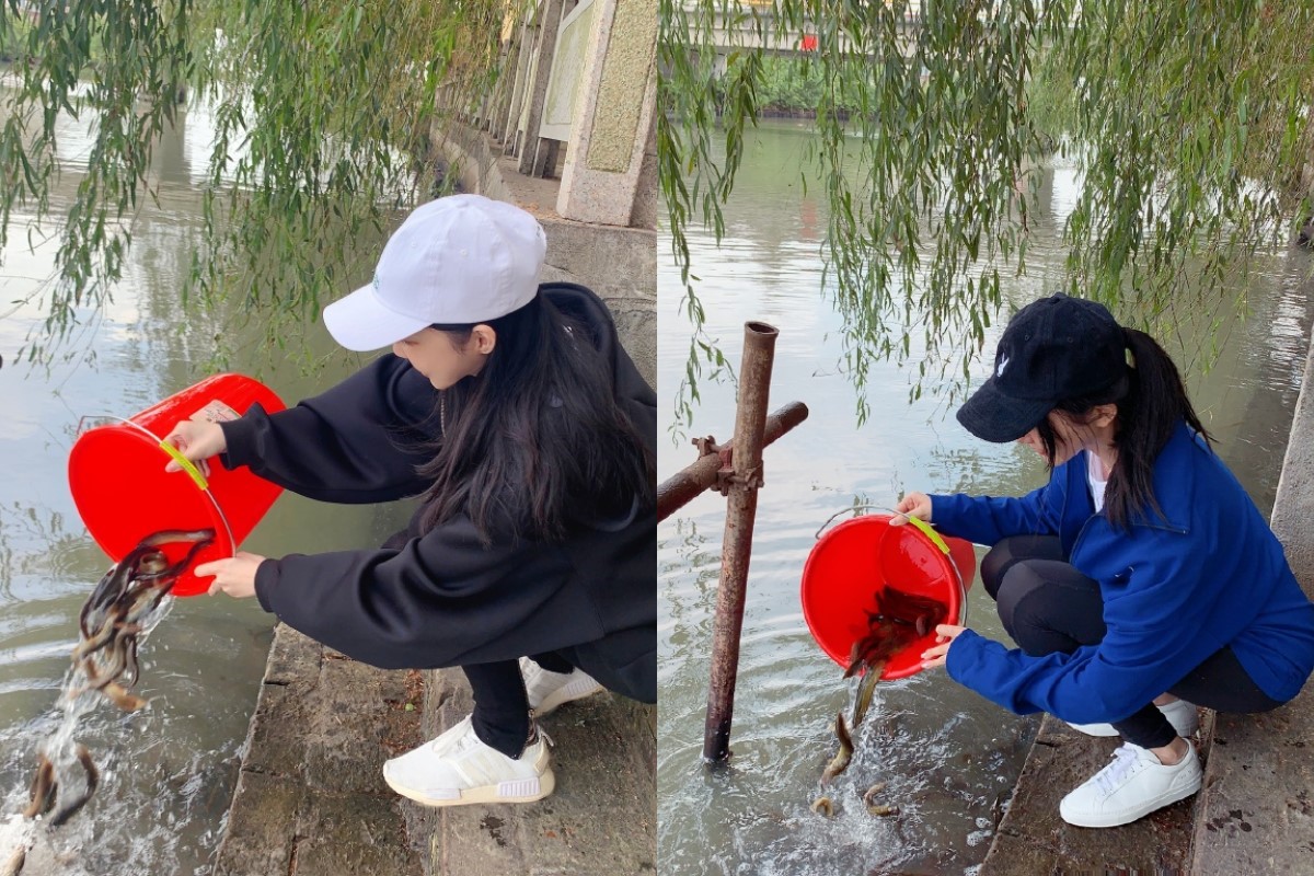 $!title_without_url!$