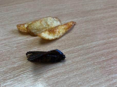 $!title_without_url!$