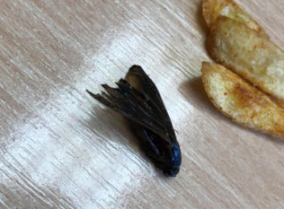 $!title_without_url!$