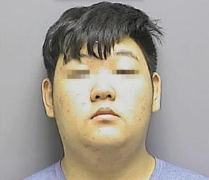 異地犯法】留美華高中生下載兒童色情片被判監10年