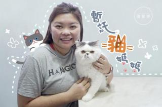 【夢專訪】養貓修補家庭關係　寄養人：讓貓統治人類吧！